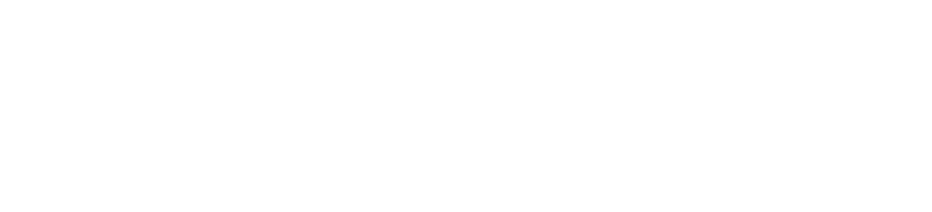 Avanza Media Group